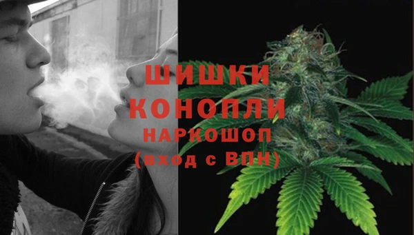 дмт Белокуриха