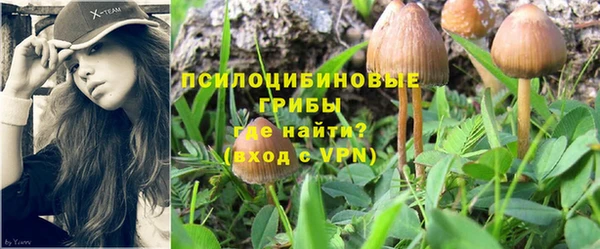 дмт Белокуриха