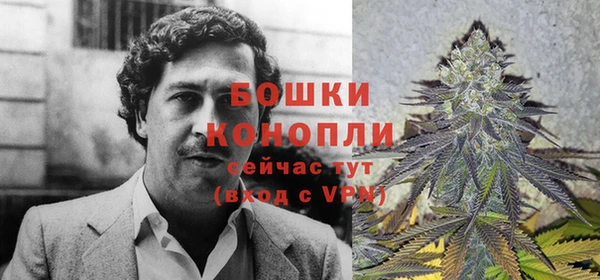 метадон Белоозёрский