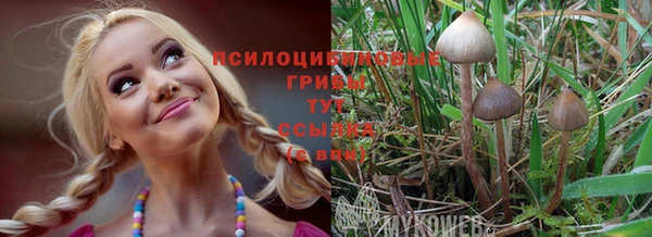 дмт Белокуриха