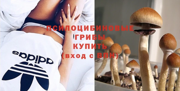 дмт Белокуриха
